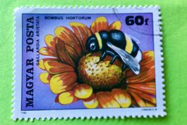 Briefmarken aus Ungarn gestempelt Siehe Original Fotos. 