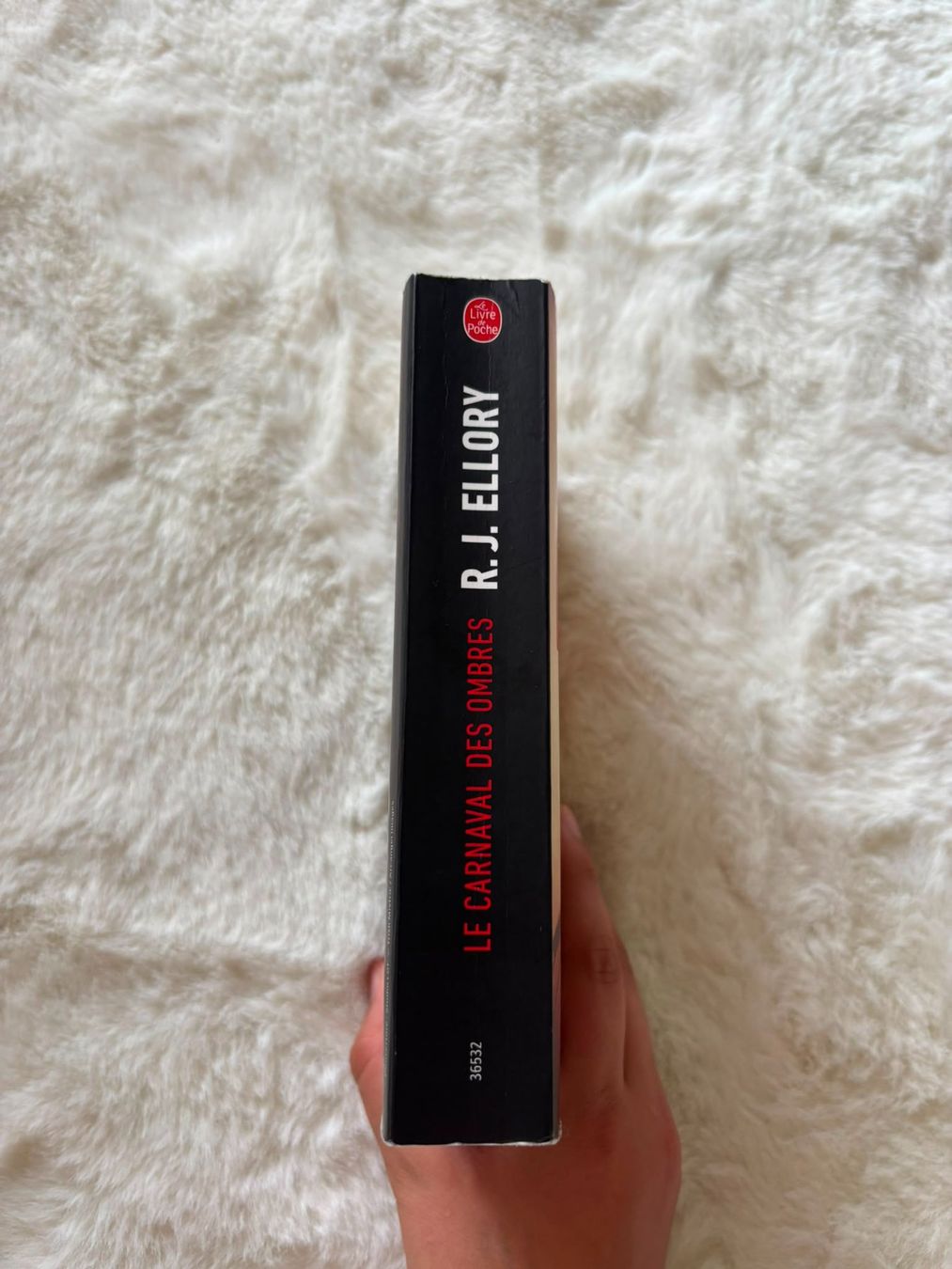 Libri: R.J Ellory - Le carnaval des ombres – Usato da Eschert venduto da elleajis 4