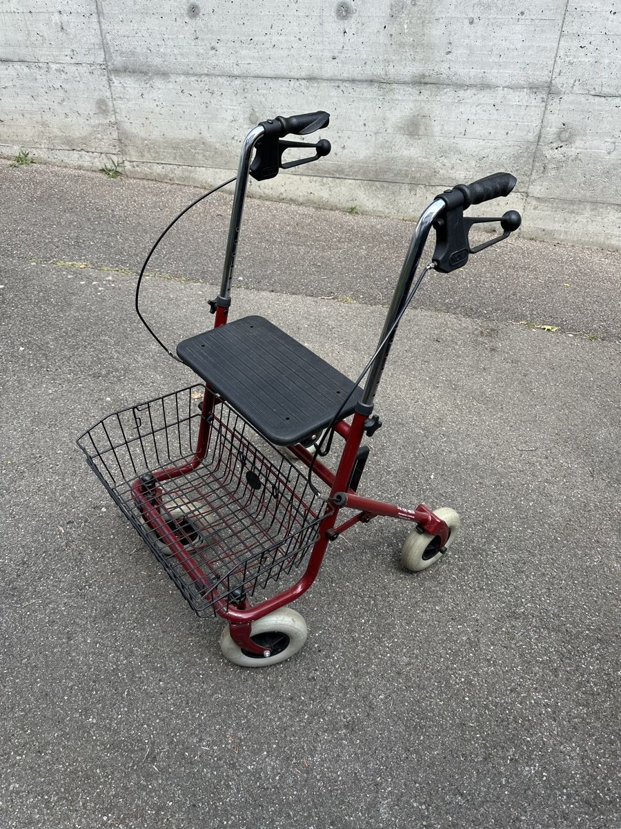 Ausili per la deambulazione: rollator – Usato da Uttigen venduto da edu_jn6l