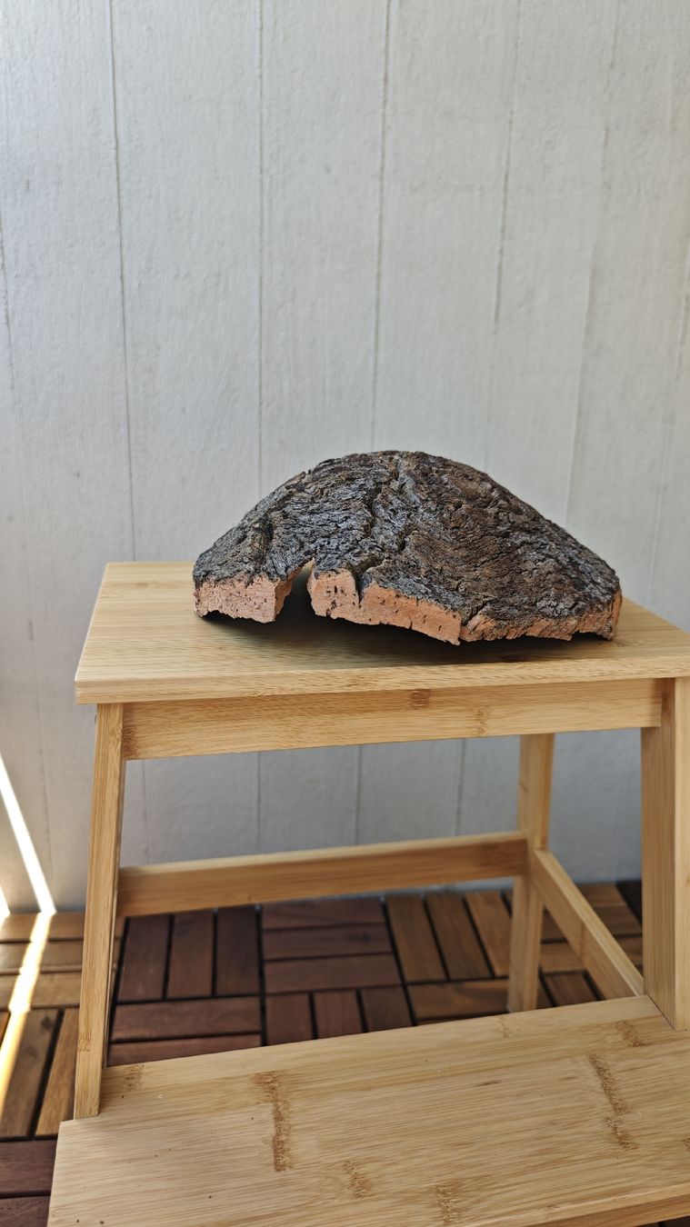 Toutes les décorations: Natural Cork Bark Bowl Decorative Object Handmade Unique – Neuf avec emballage d'origine à Zürich par Mgaiovitoria 8