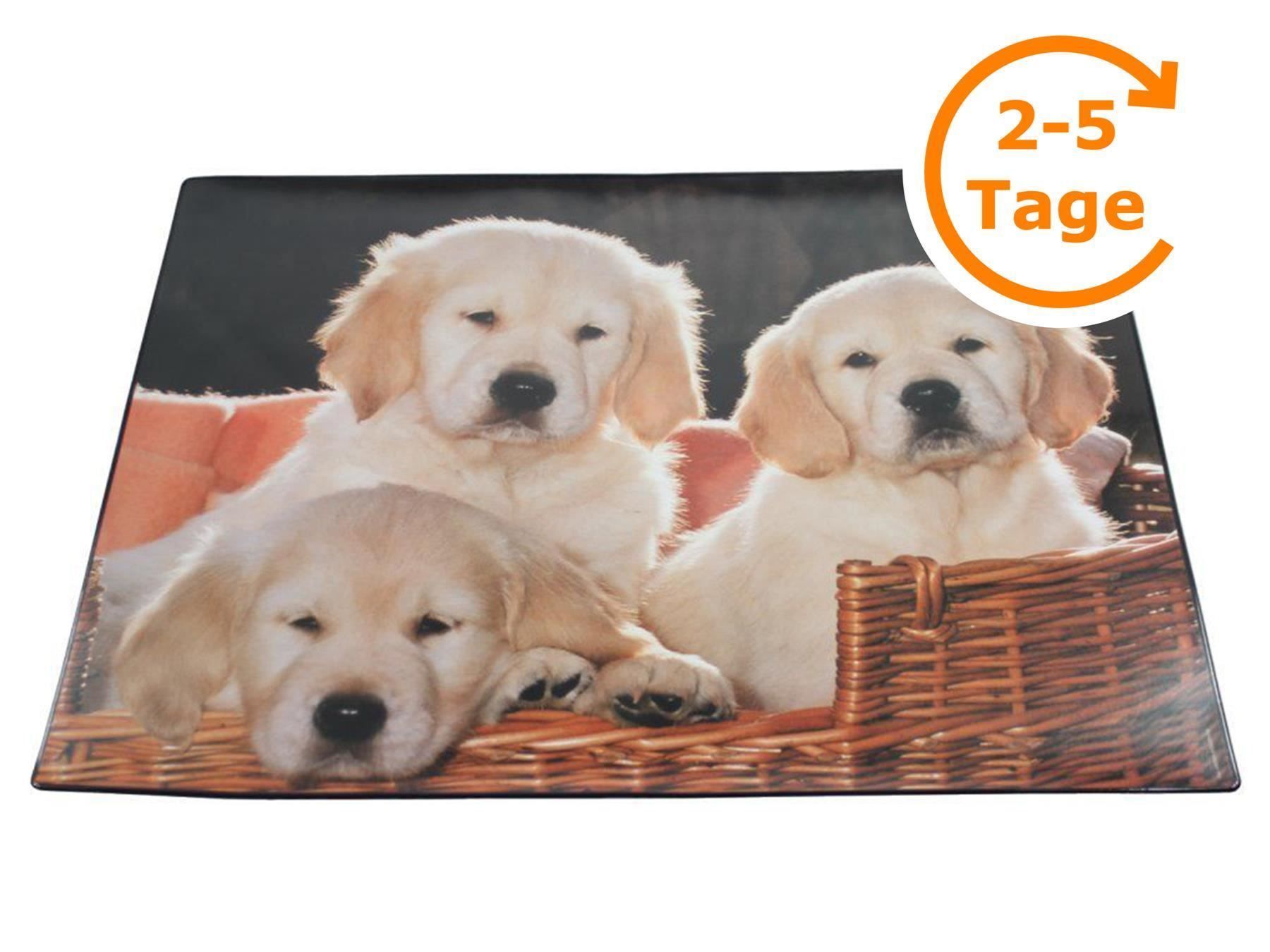 Scrivanie: Schreibunterlage Hunde, 40x53 cm – Nuovo e nell'imballaggio originale da St. Gallen venduto da cointec