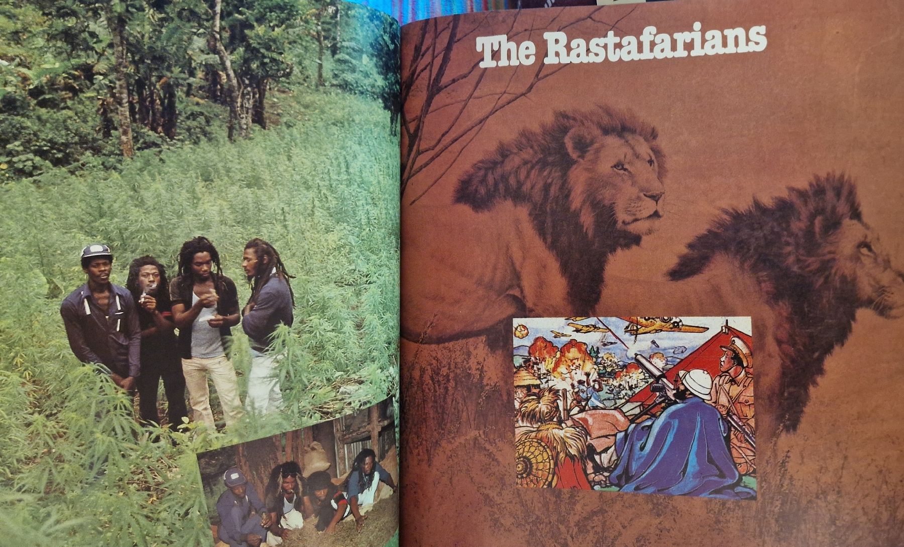 Bücher: Reggae International – Gebraucht aus Oberengstringen von Sheera7 8