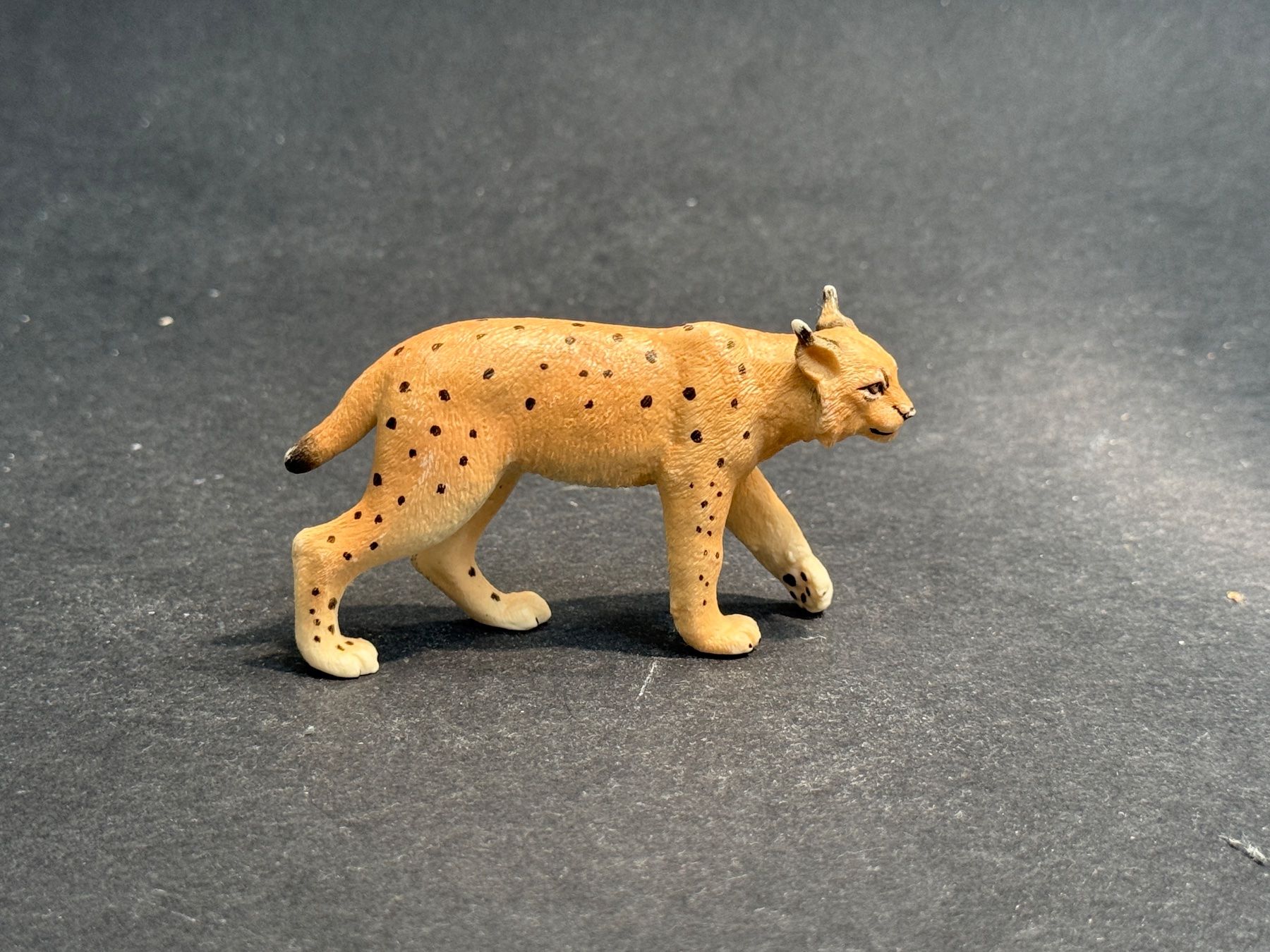 Schleich Statuette: Schleich Luchs Luchsweibchen – Usato da Ennetbaden venduto da mapa05