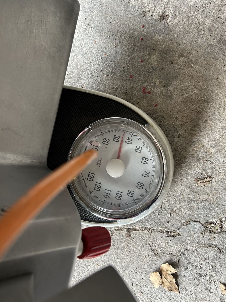 Elettrodomestici da cucina: AUFSCHNITTMASCHINE BERKEL? MANCONI? – Usato da Bottmingen venduto da Surubi 8