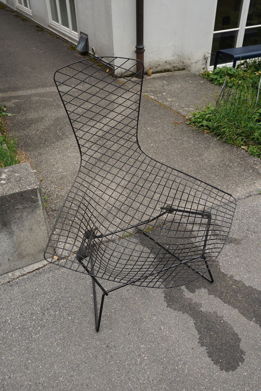 Knoll Sedie: Harry Bertoia Bird Chair – Usato da Bern venduto da Hoechstbietende