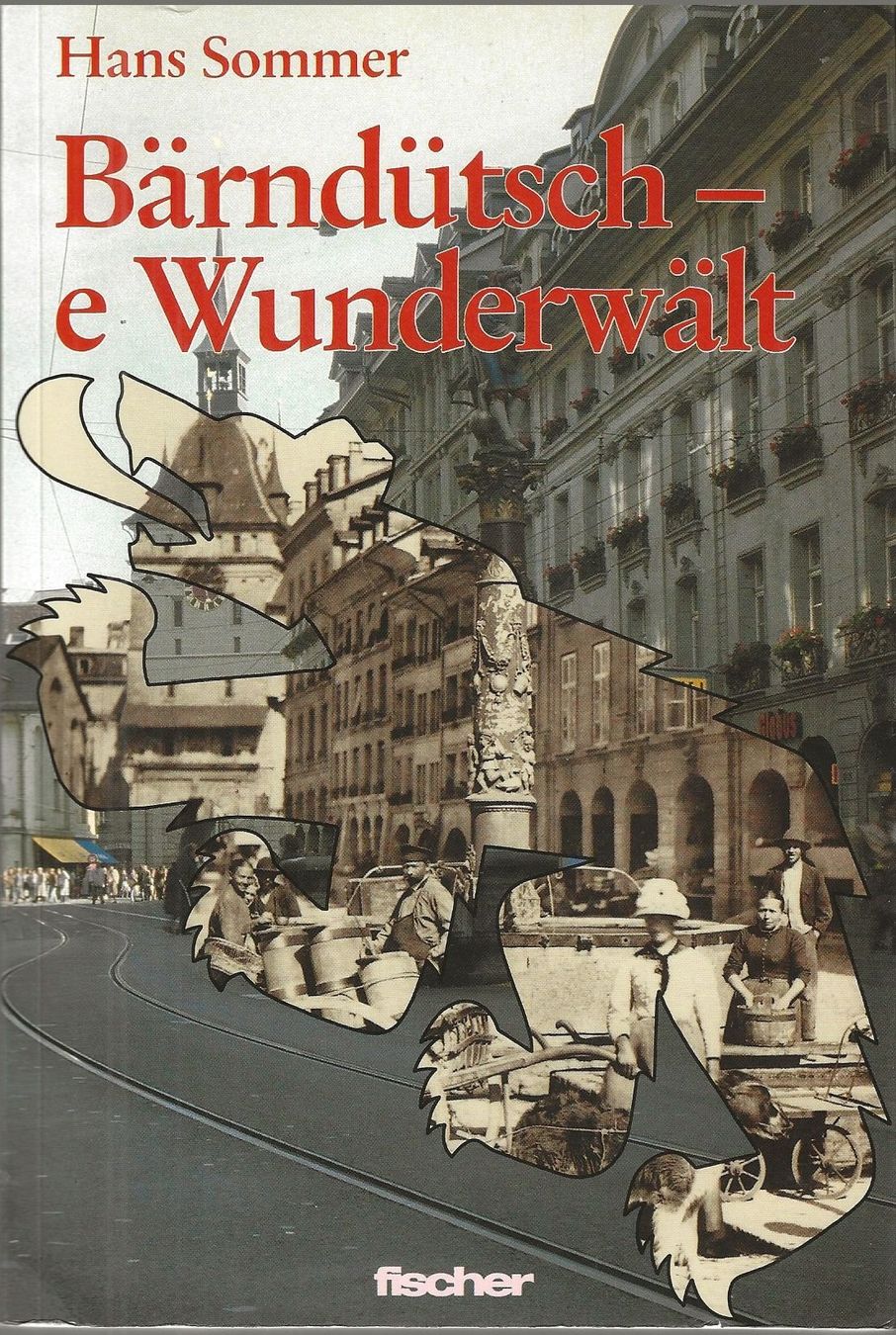 Libri: Bärndütsch - e Wunderwält – Usato da Bern venduto da Grindelwaldaus