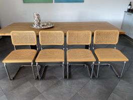 Design Freischwinger Stühle Chairs