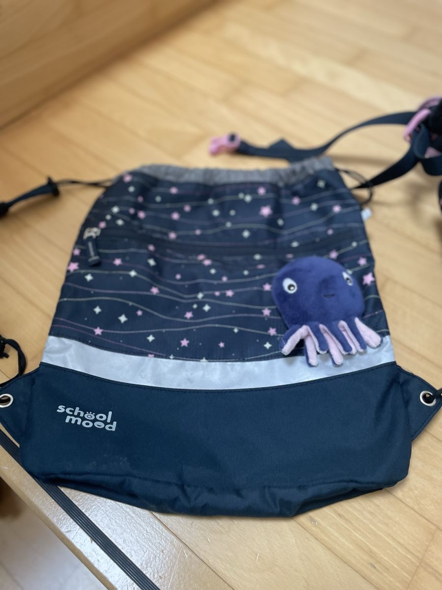 Borse & Zaini: Schulsack von school mood – Usato da Solothurn venduto da Silbermond01 7