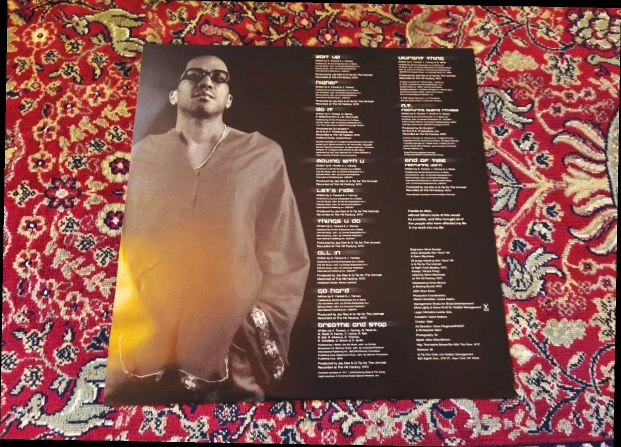 Vinyles: Q-Tip - Amplified – D'occasion à Kandersteg par digginblackpearlz 2