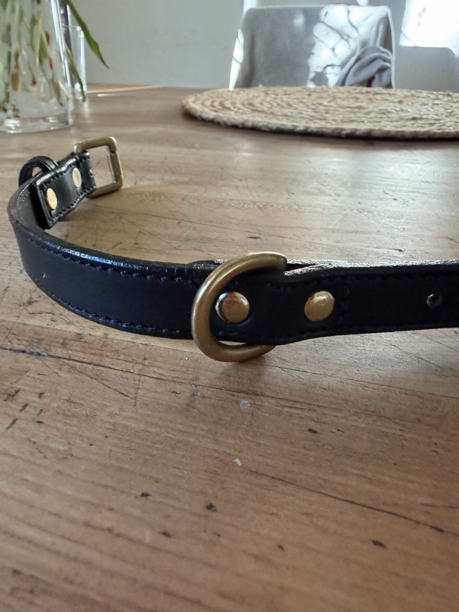 Colliers: Hundehalsband – Neuf (Voir description) à Bern par Grace2112 4