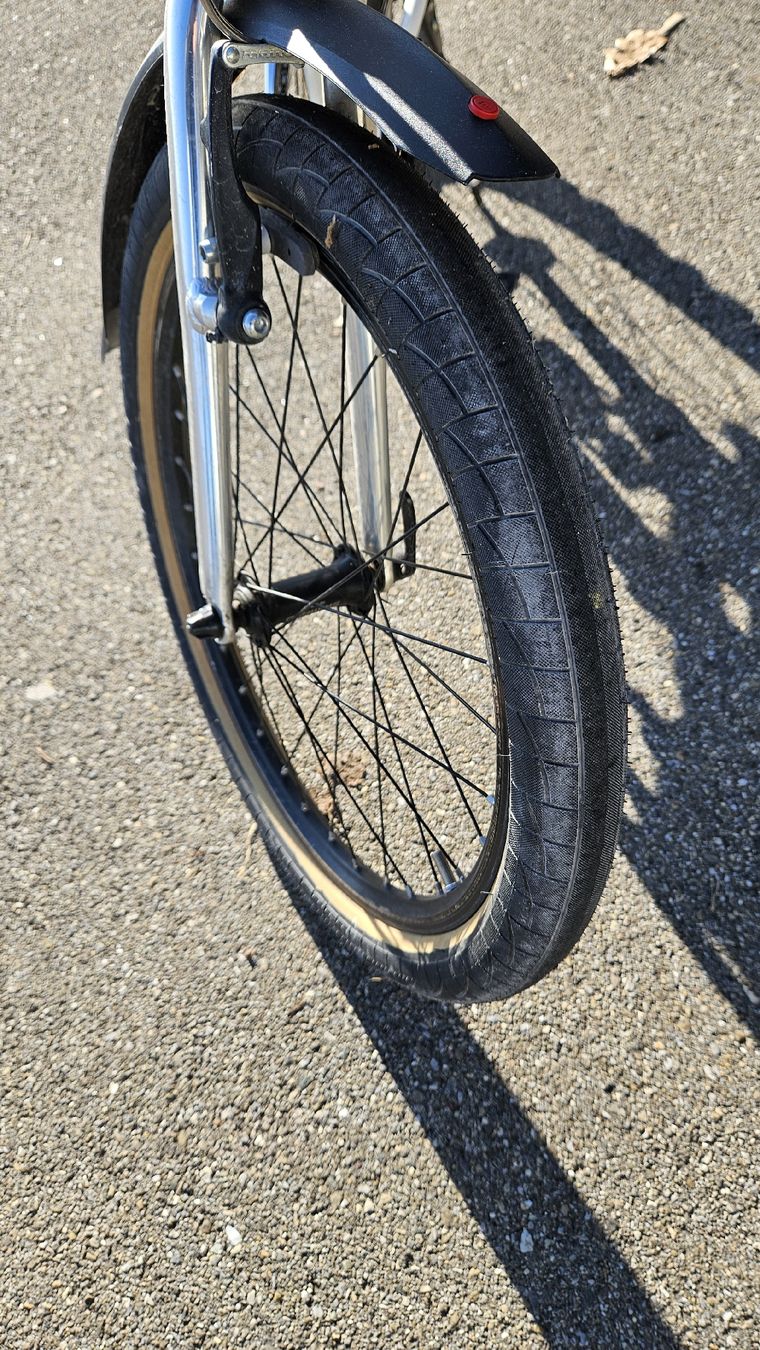 MTB Cycletech Biciclette: Kindervelo MTB Cycletech 20 Zoll – Usato da Abtwil SG venduto da Realsale 2