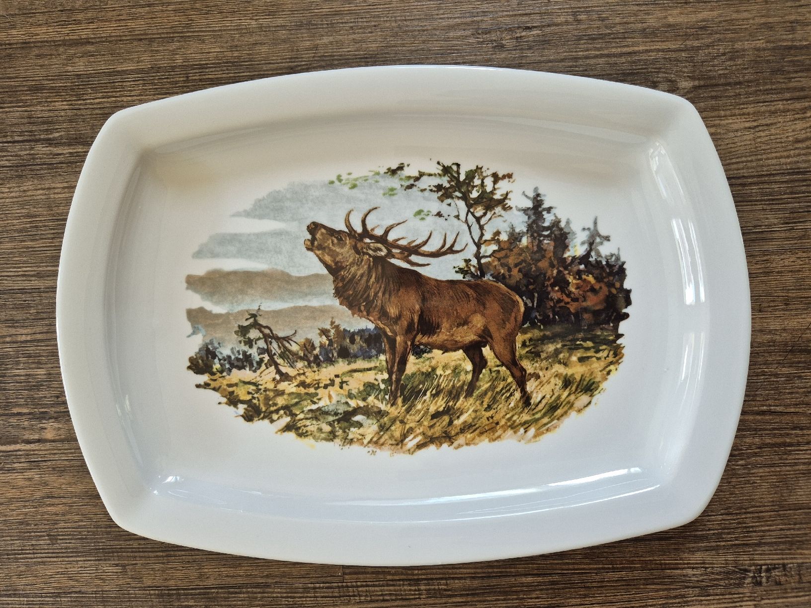 Piatti di portata: Servierplatte mit Hirsch, Langenthal Suisse – Usato da Eschlikon TG venduto da zuzanka80