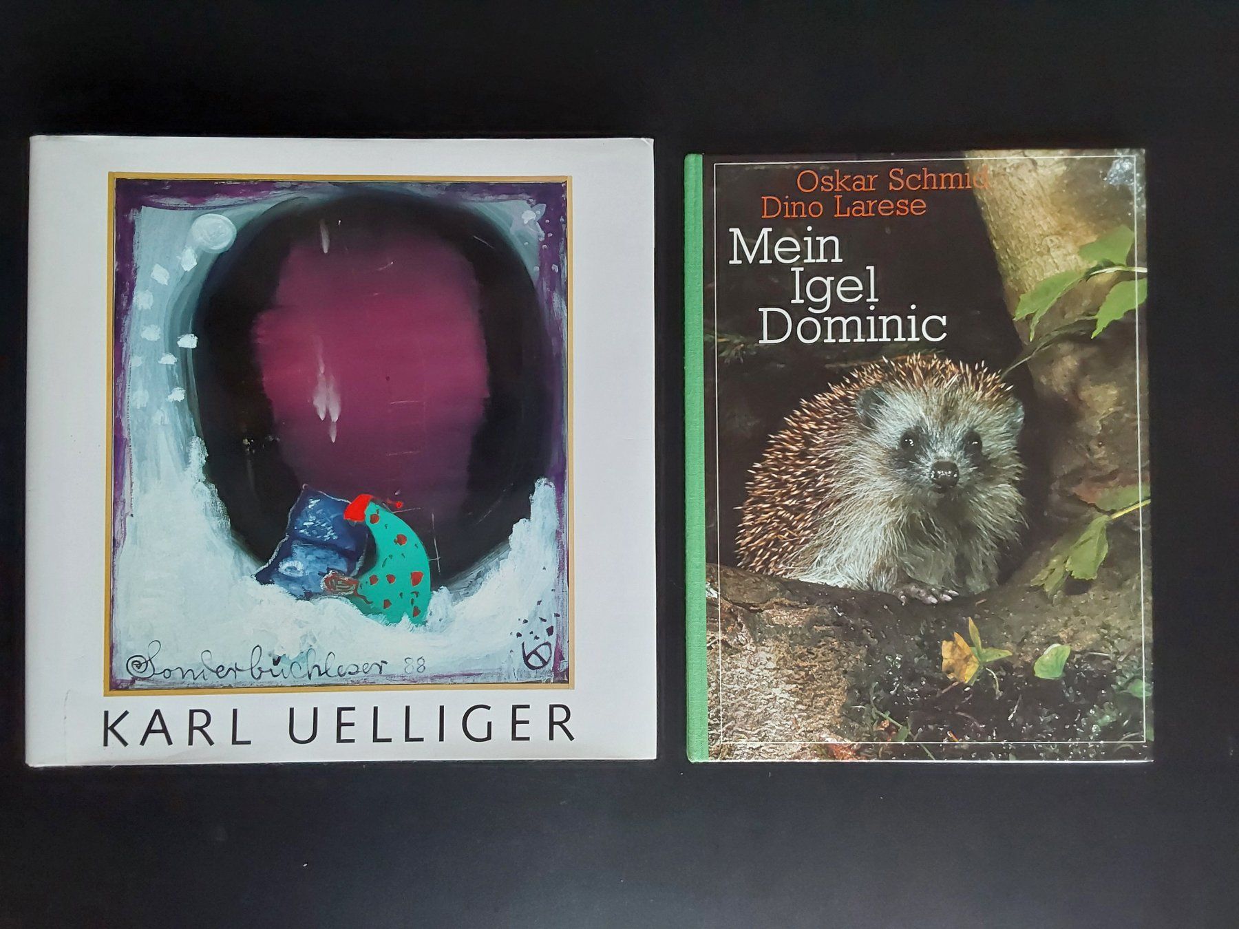 Bücher: Kunstbücher. 8x zusammen. – Gebraucht aus Steinach von  9