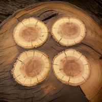 Holzscheiben