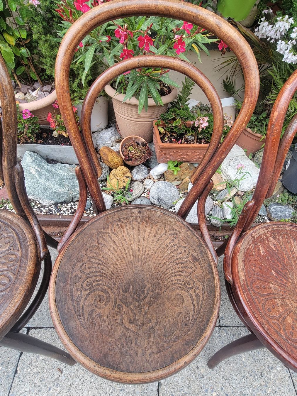Chaises: 4 Bugholzstühle antik – D'occasion à Sils im Domleschg par platin01 3