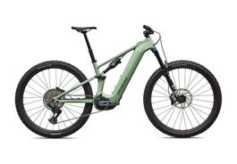 Specialized Turbo Levo R Expert SATIN PISTACHIO S2