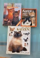 3 Katzen-Bücher: Lieblingstier, Grosses Katzenbuch und...