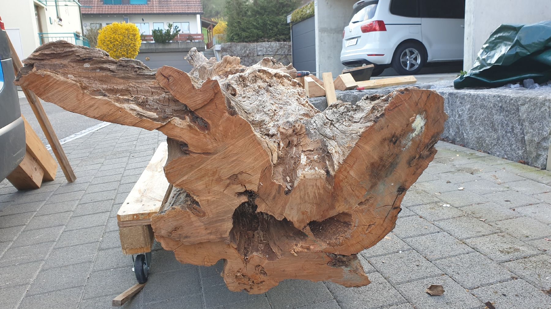 Articoli in legno: Baumstamm Birnbaum – Nuovo (secondo la descrizione) da Embrach venduto da Olympia52 2