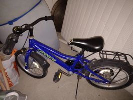 Velo 16'' Leopard Easycat