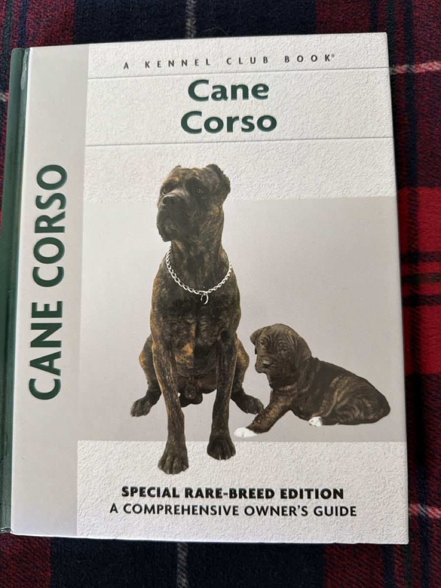 Libri: Cane Corso & Molosser Hunde Bücher Sammlung – Usato da Zürich venduto da d.reitzer 1