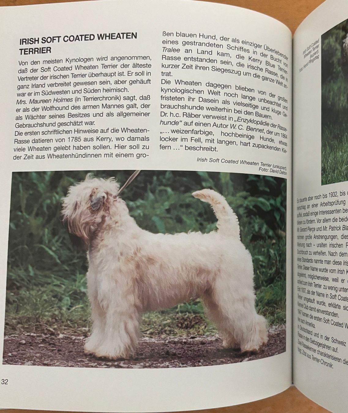 Libri: Terrier - Hochläufer – Nuovo (secondo la descrizione) da Sarnen venduto da Livres 5