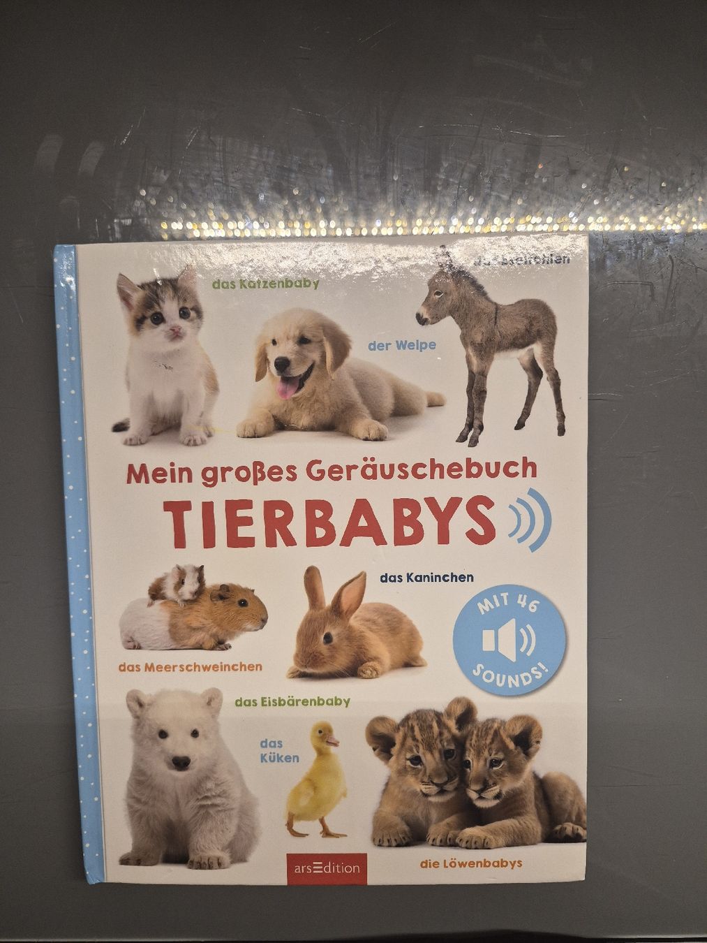 Libri: Geräuschebuch Tierbabys mit 46 Sounds - Spielend Deutsch – Usato da Selzach venduto da Paradiso89