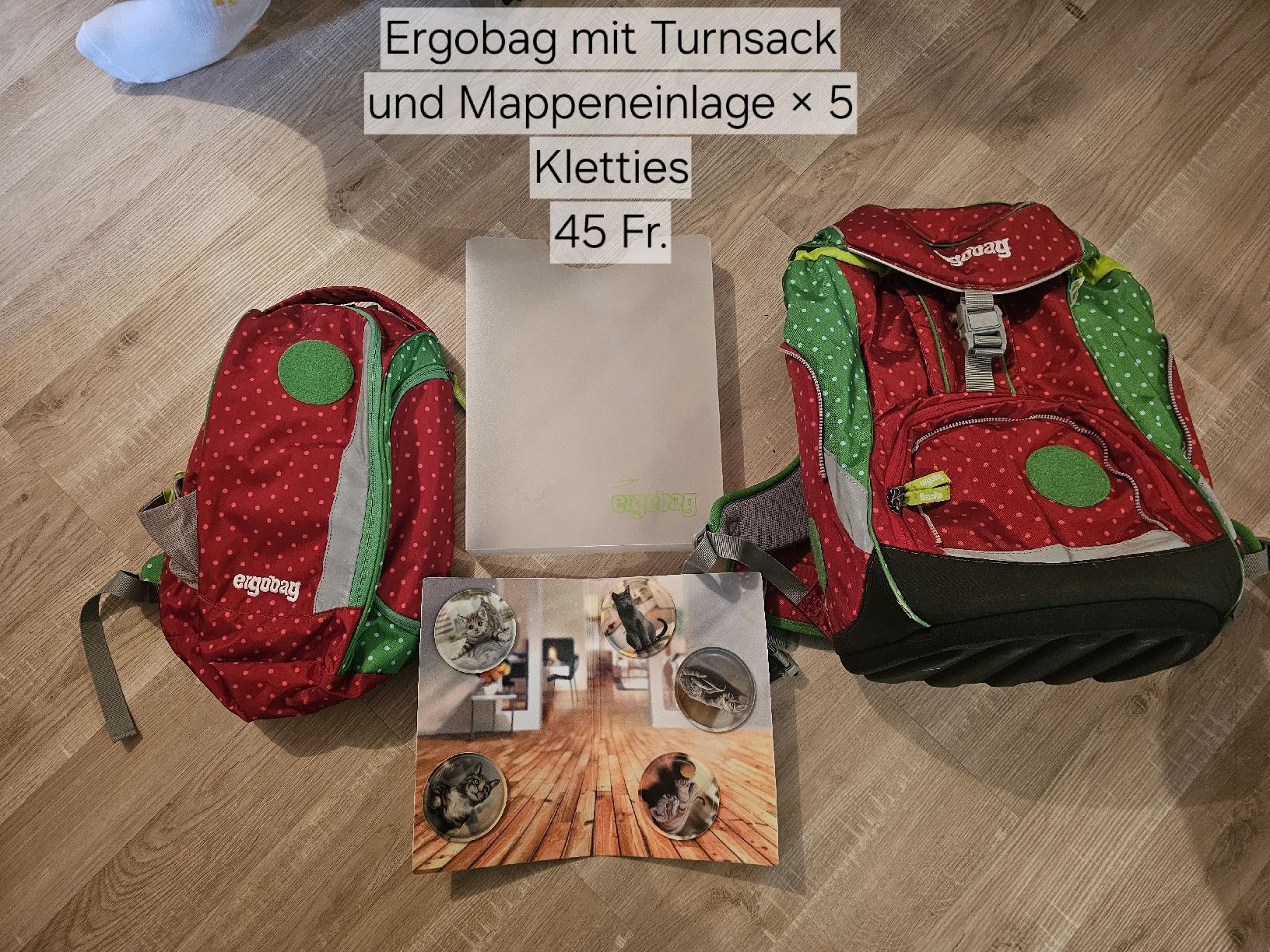 Ergobag Kindertaschen: Ergobag Schulrucksack mit Turnsack, Mappeneinlage und 5 Klet – Gebraucht aus Oberschrot von nadine1607