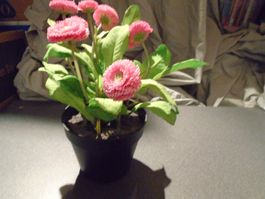 Blumen im Topf, IKEA Fejka, rosa Blumen
