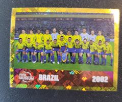 Panini - FWC 16