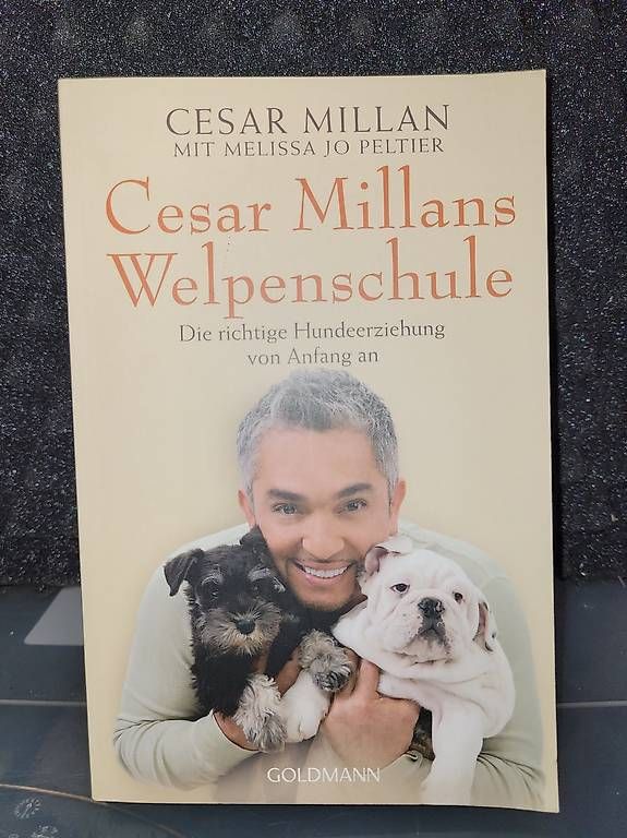 Libri: Cesar Millan - Cesar Millans Welpenschule  – Usato da Boll venduto da ttr-fun
