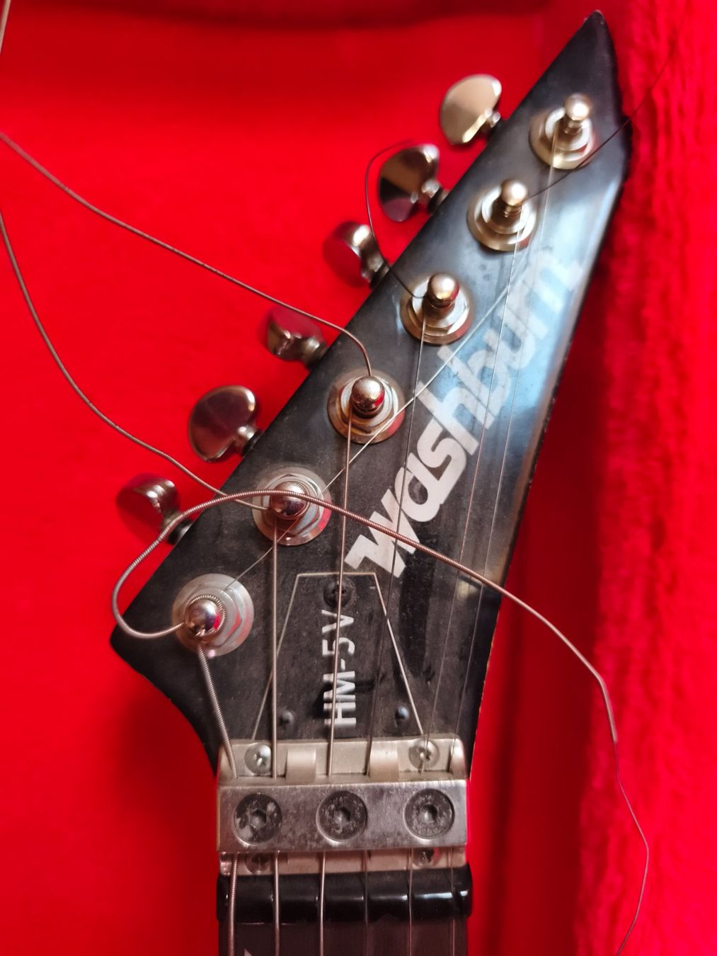 Washburn Strumenti musicali: Washburn HM 5V – Usato da Wynau venduto da rem_5tpw 1