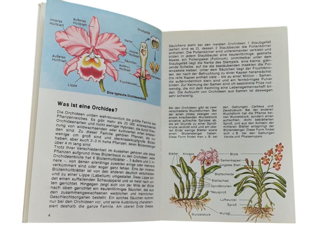 Libri: Orchideen. Wildwachsende Arten aus aller Welt – Usato da Mörschwil venduto da lindaswunderkiste 3