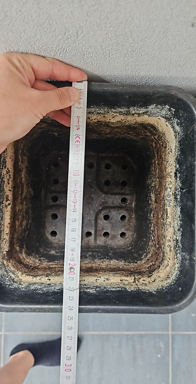 Blumentöpfe: Anzuchttöpfe ca 25x25cm – Gebraucht aus Luzern von schuhparadies159 3