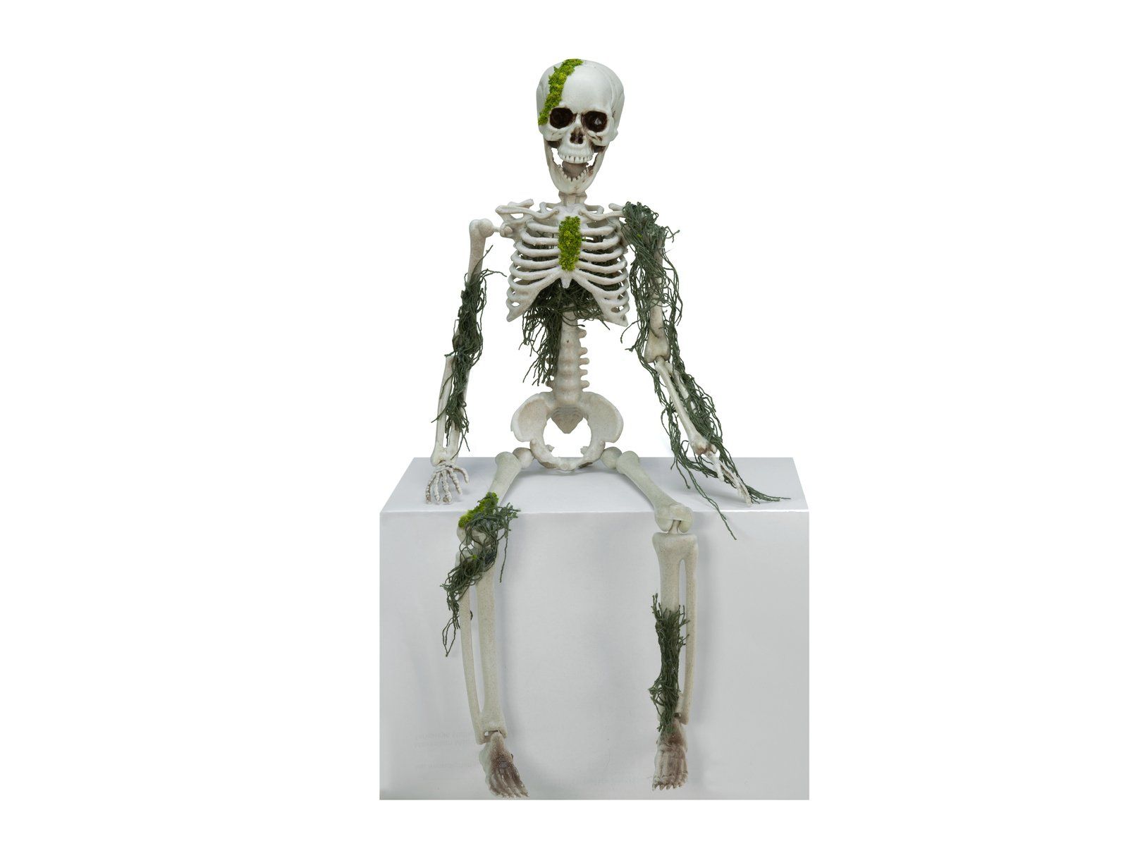 Statuette: EUROPALMS Halloween Skelett mit Moos, 40cm – Nuovo e nell'imballaggio originale da Däniken SO venduto da Profog1 4