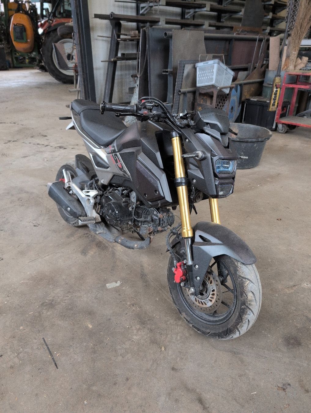 Honda Altro: Honda msx 125 Motorrad – Usato da Niederrohrdorf venduto da Mischa.villiger 1