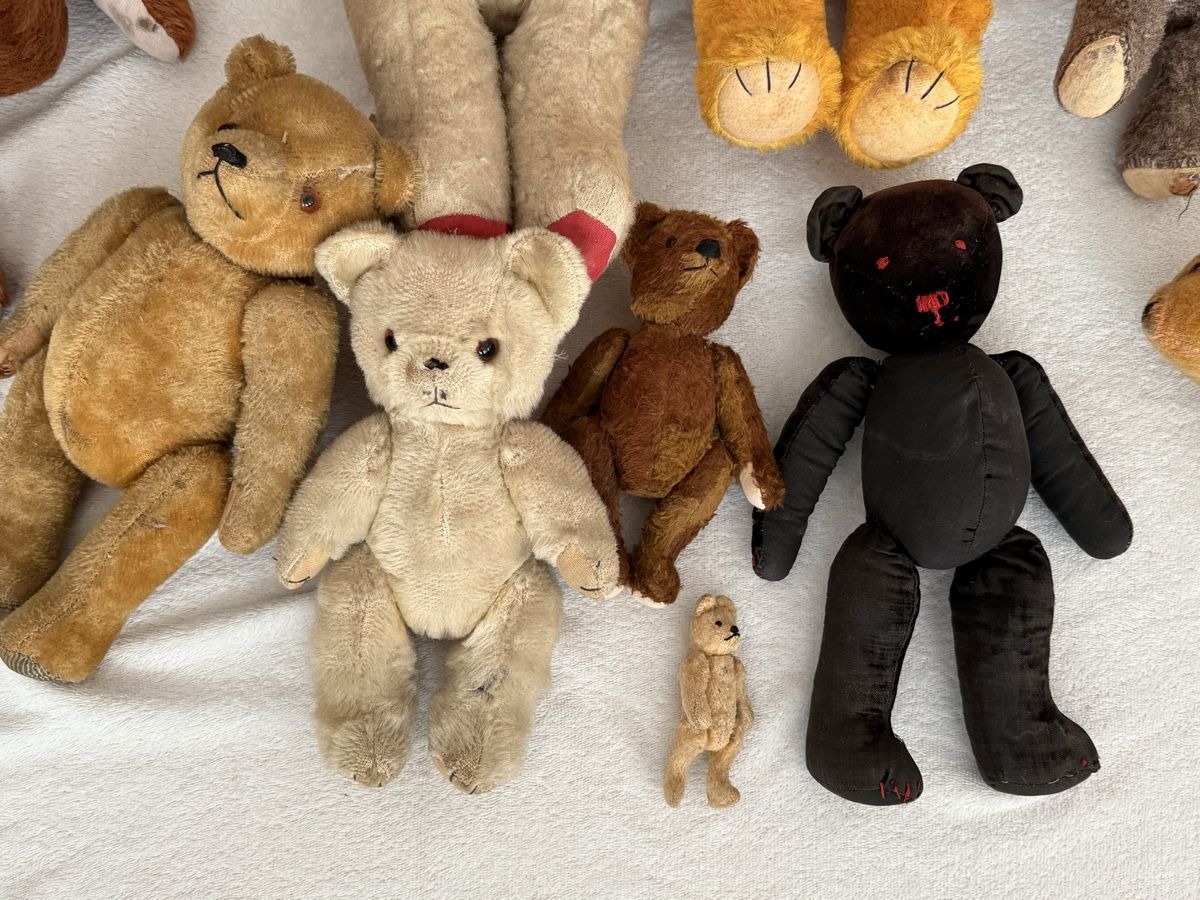 Spielzeuge: Antike Plüschtiere Teddy Spielsache Sammlung – Gebraucht aus Solothurn von NUVICO 2