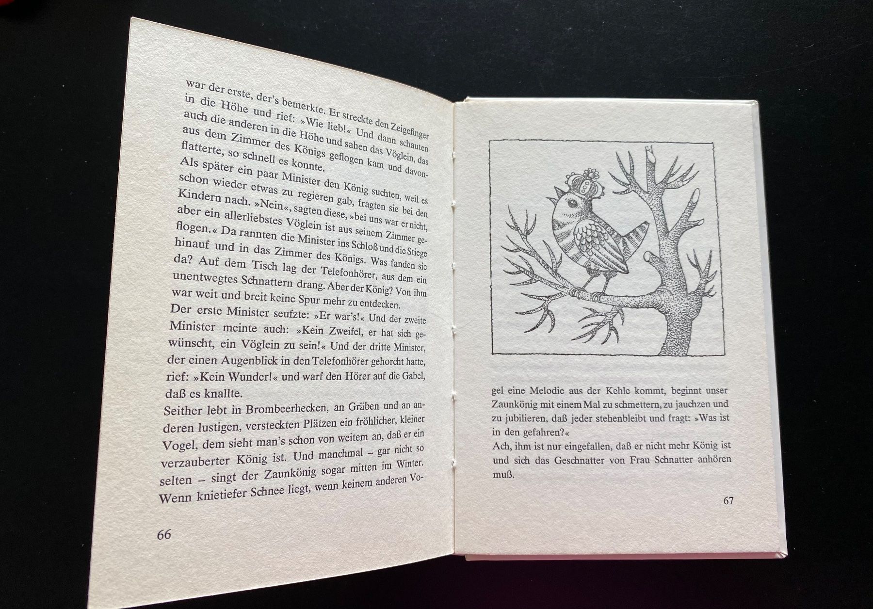 Libri: Warum die Käuze große Augen machen / 1969 – Usato da Nussbaumen AG venduto da schuba2000 5