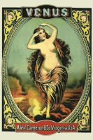 Blechschild-VENUS CAMERON VIRGINIA