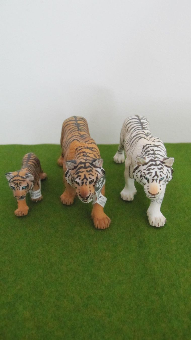 Schleich Spielzeuge: Schleich Tiger, 3er Set – Neu (gemäss Beschreibung) aus Brunnen von Kiwiland1 1