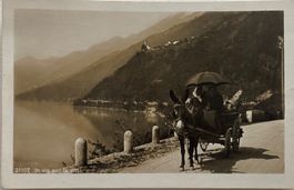 Ticino, Tessin, Lugano, Esel, Maultier, Karren
