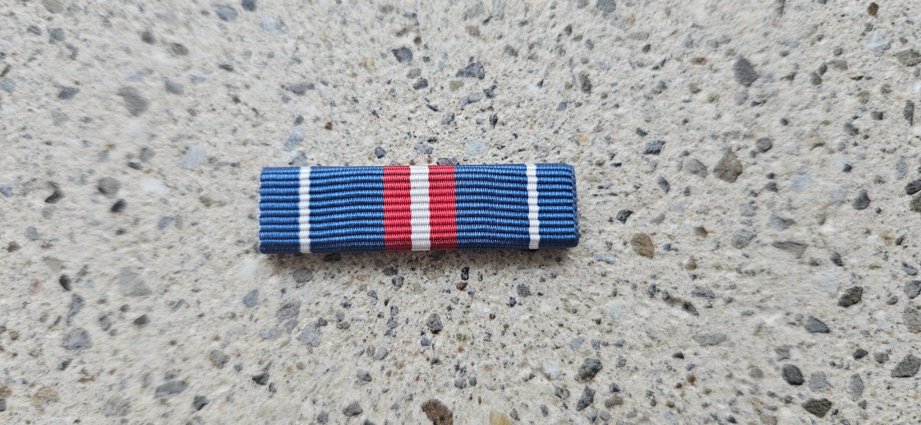 Schweizer Armee Placchette & Badge: *** Diensttage Ribbon *** – Usato da Riedholz venduto da fr_sIruP