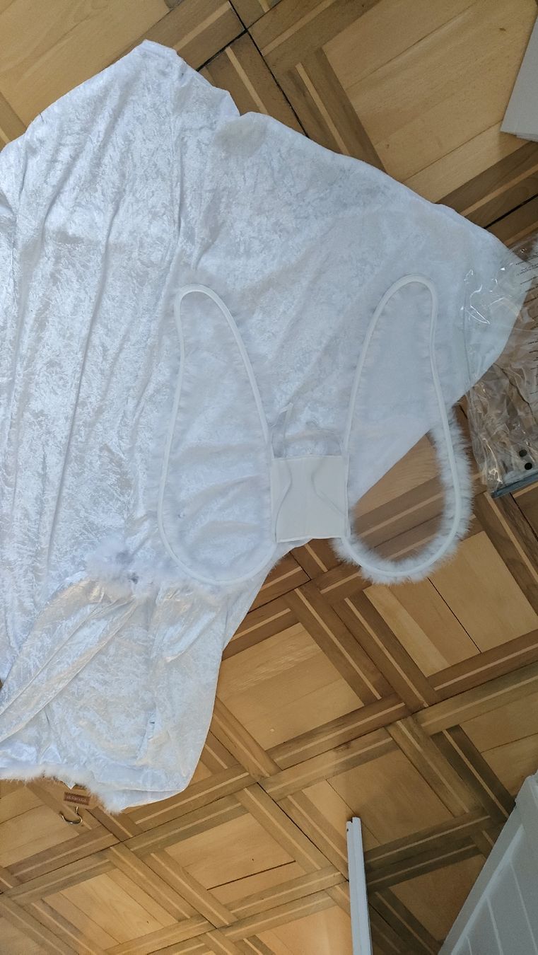 Kostüme: Fasnacht Engel Kleid – Gebraucht aus Sarmenstorf von schasil 1