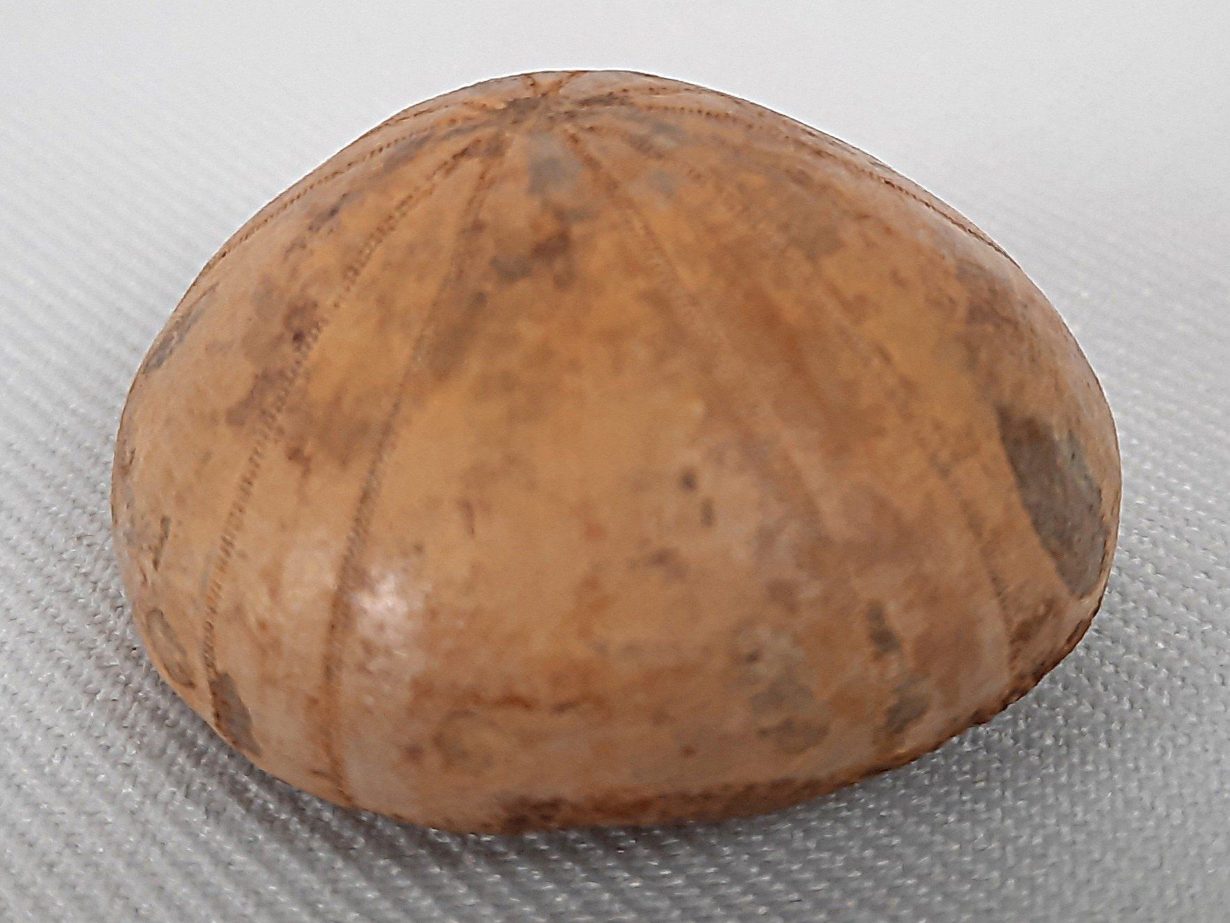 Fossili: Fossile Seeigel und Seepocken – Usato da Beinwil am See venduto da Restwert_Beinwil 1