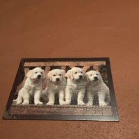 Süsses Puzzle, 4 Welpen auf Bank