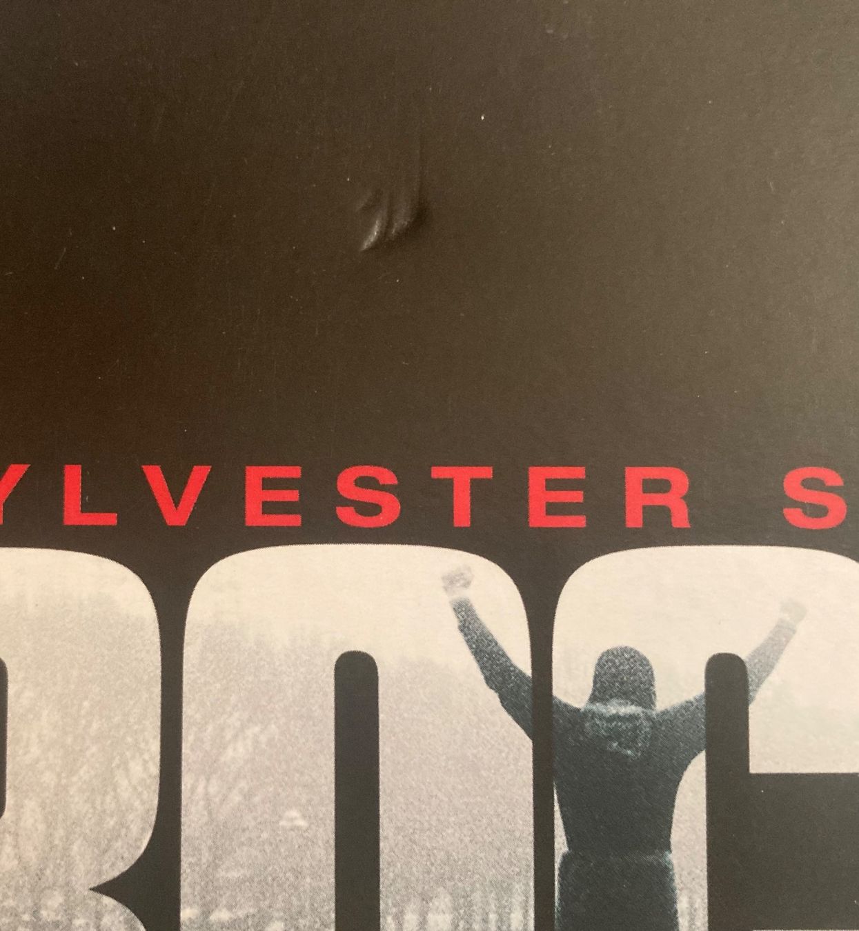 Alle DVDs: SYLVESTER STALLONE - ROCKY (LA SAGA COMPLETE) – Gebraucht aus Poliez-Pittet von Newtown-Records 1