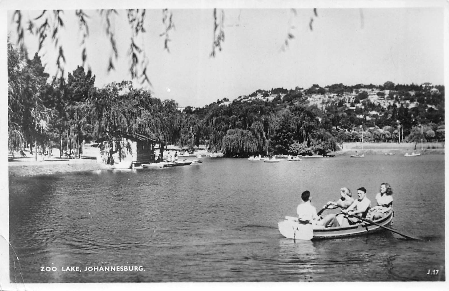 Cartoline postali: 4x Johannesburg – Usato da Ottikon b.Kemptth. venduto da Neptun1974 5