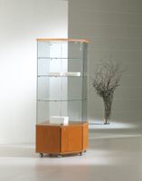 Glasvitrine, Glas ESG,LED,Kirsch,Silber,Wenge(68x68xH.181cm)