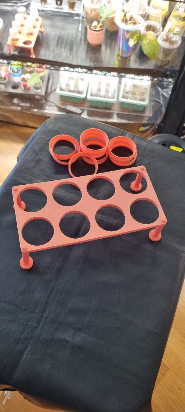Pflanzen & Samen: 🌱 Modulare 3D-Anzuchtstation / Propagations-Set – Neu und originalverpackt aus Wallenwil von LadyLeaf_Ellis1 1