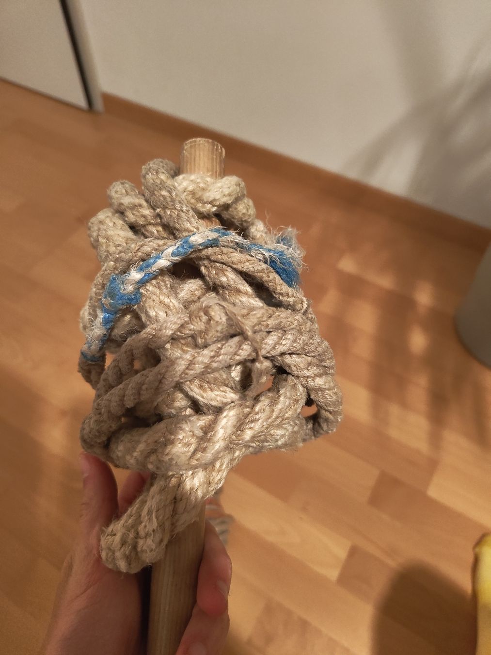 Altro in Accessori per animali: Geisseln  – Difettoso da Luzern venduto da kellmo 2
