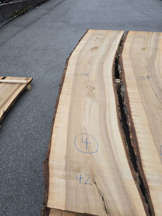 Articoli in legno: Nussbaumbrett Nr 4 – Nuovo (secondo la descrizione) da Lützelflüh-Goldb venduto da ch.waelchli-holz.ch